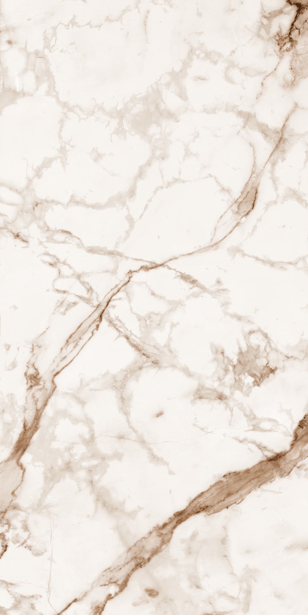 Calacatta Oro Marble Slab