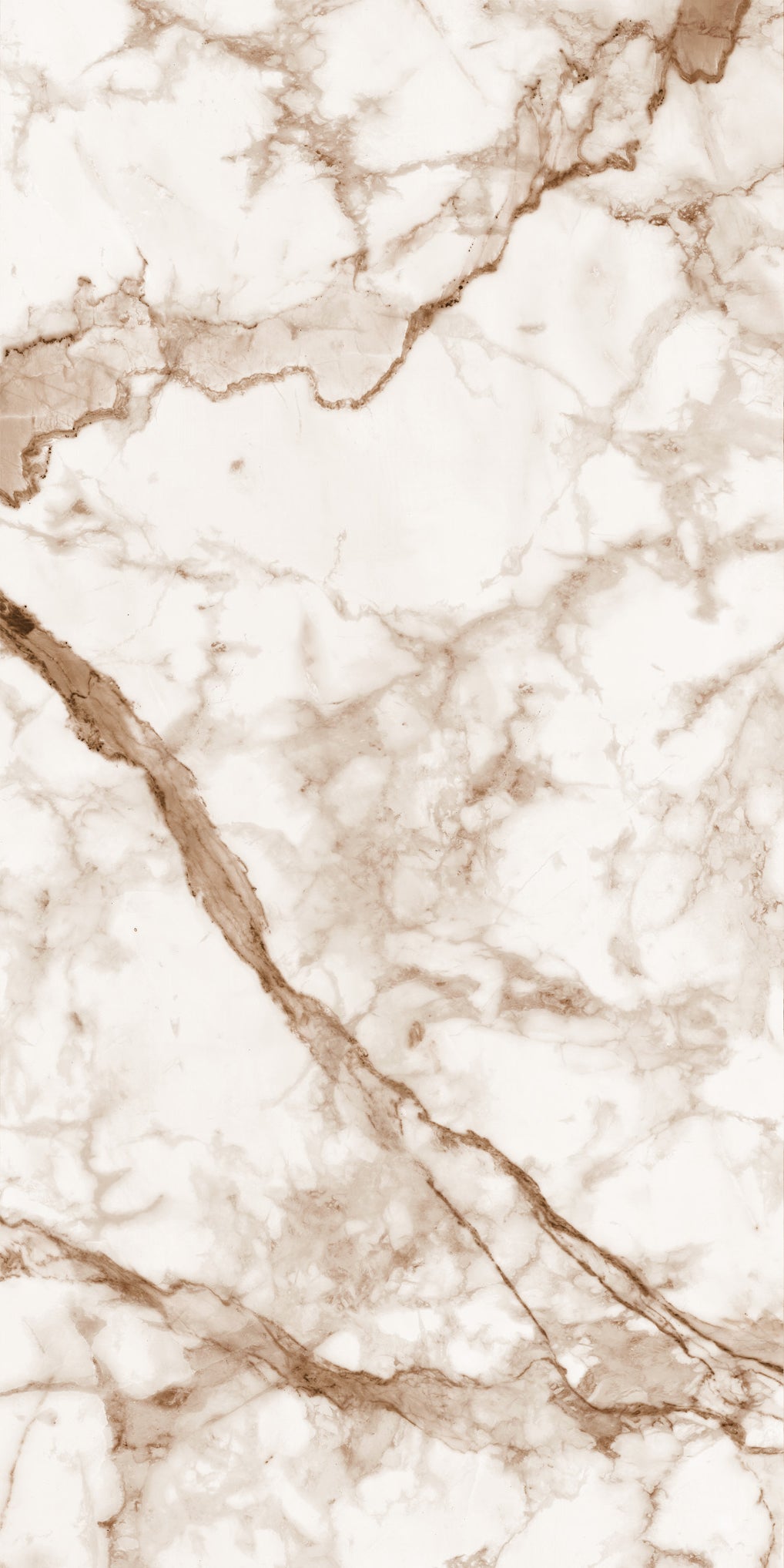 Calacatta Oro Marble Slab