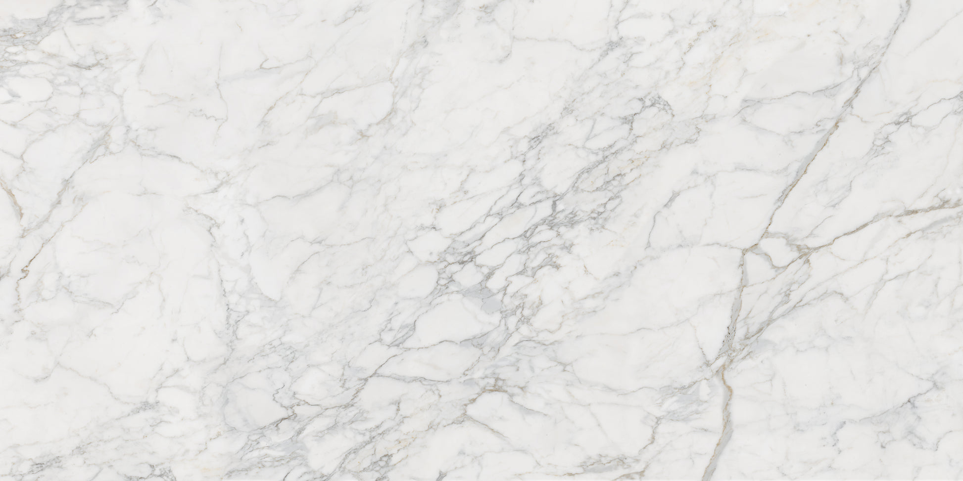 Arabescato Marble Tile