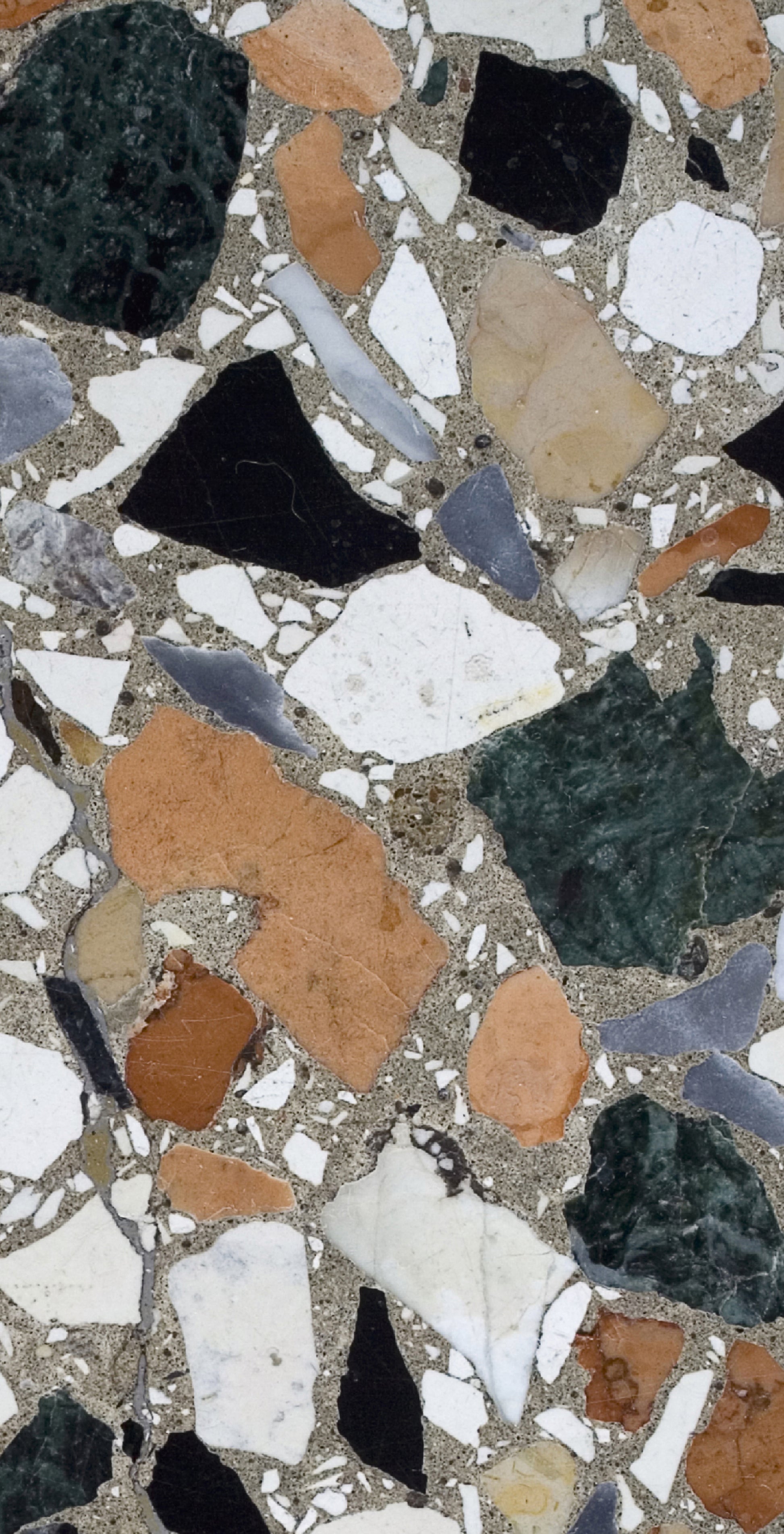 Multicolor Heritage Terrazzo