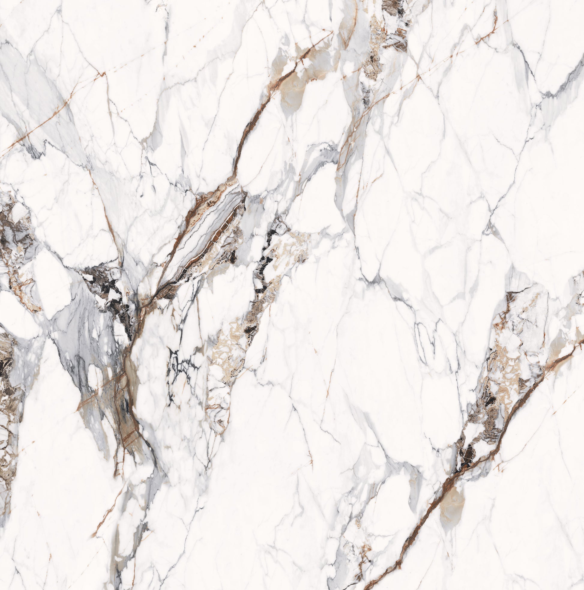 Paonazzo Marble Tile