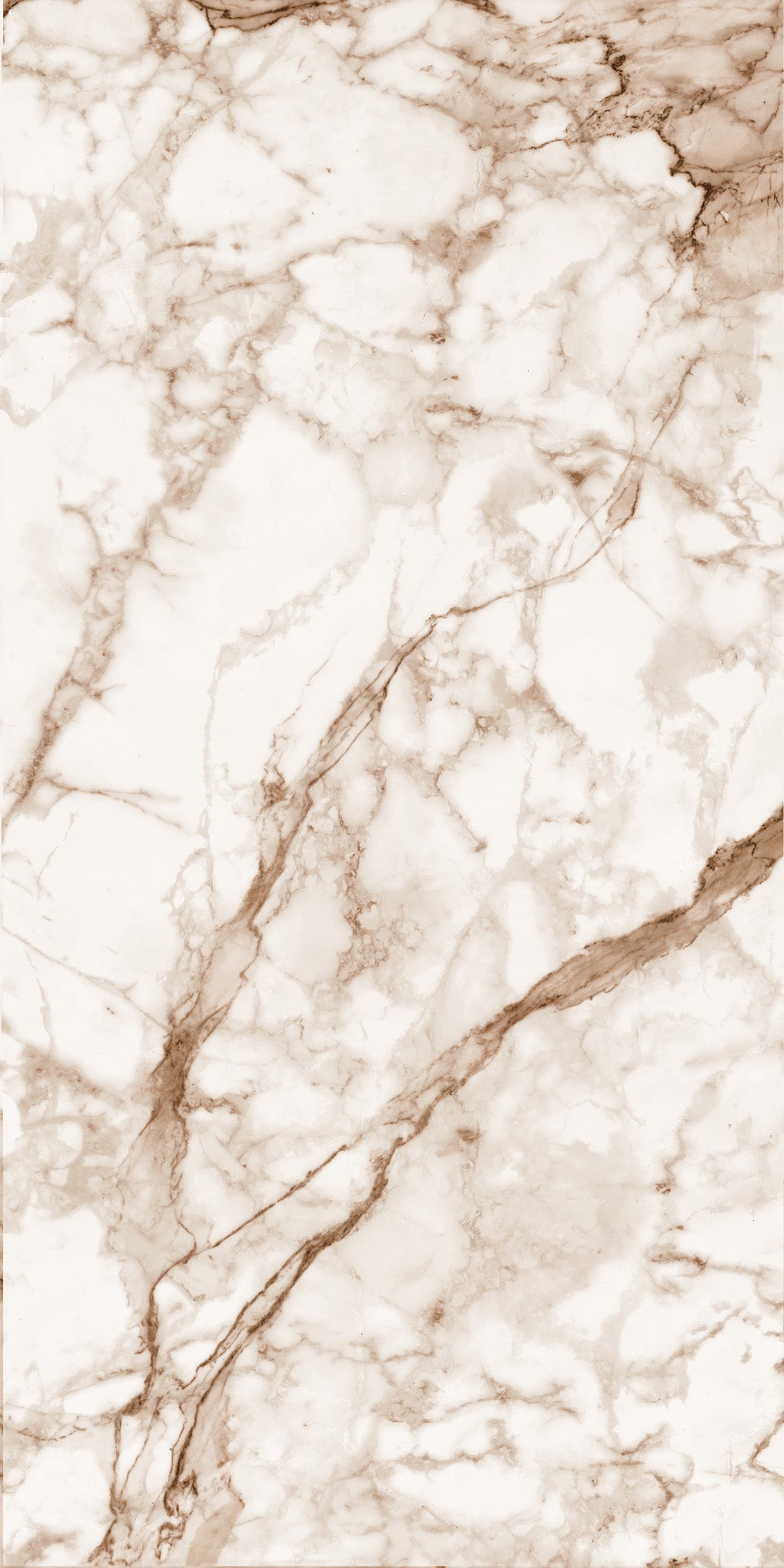 Calacatta Oro Marble Slab