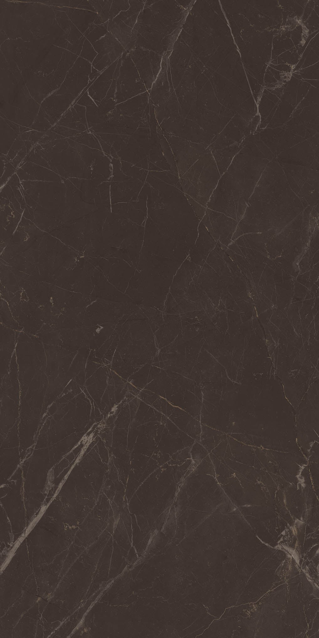 Imperial Black Marble Tile