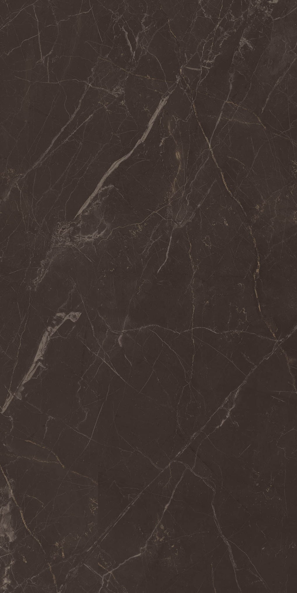 Imperial Black Marble Tile