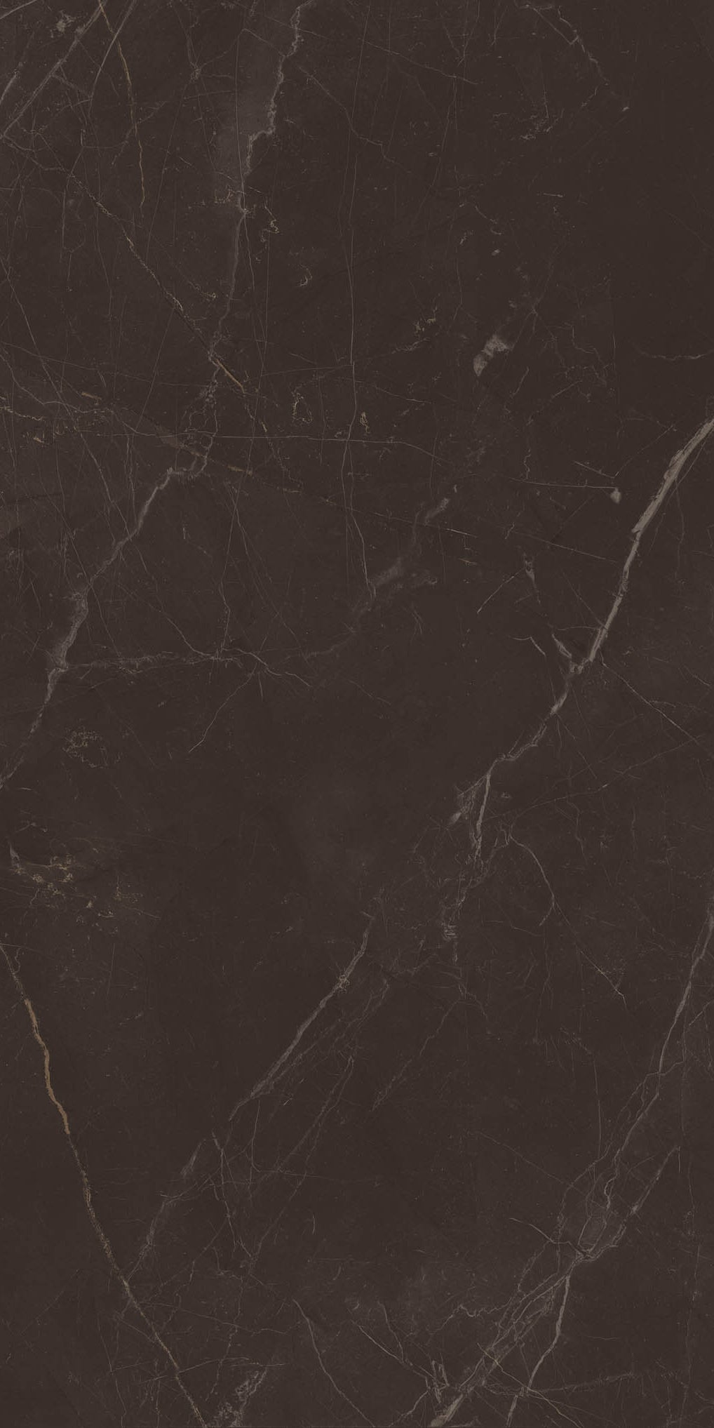 Imperial Black Marble Tile