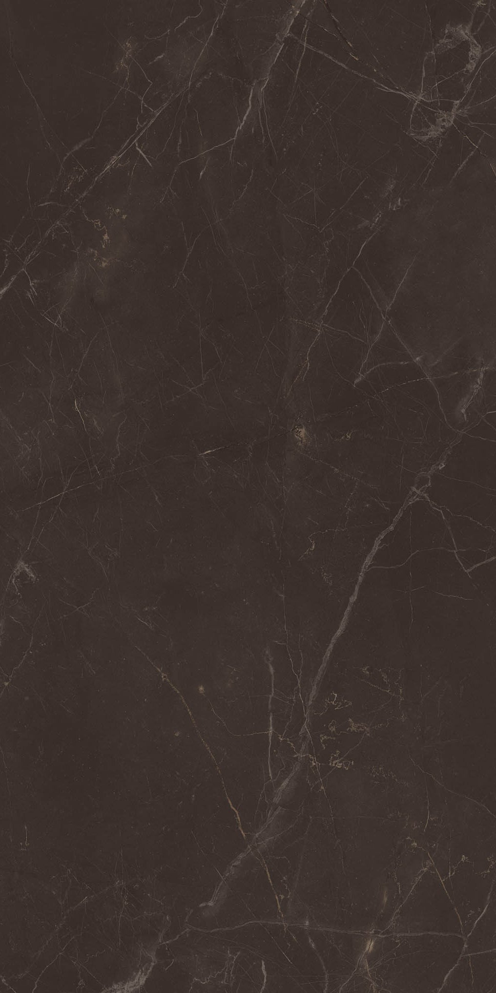 Imperial Black Marble Tile
