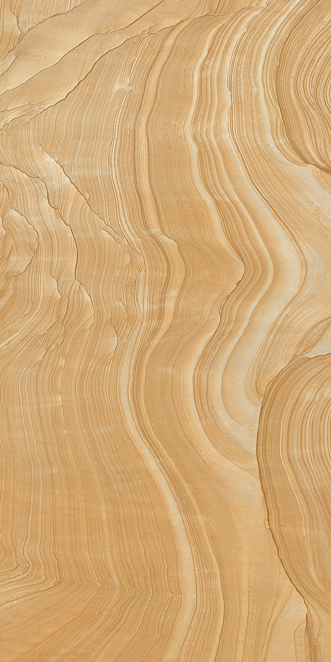 Luxury Cream Ivory Marble Slab Texture  | Texturehubs