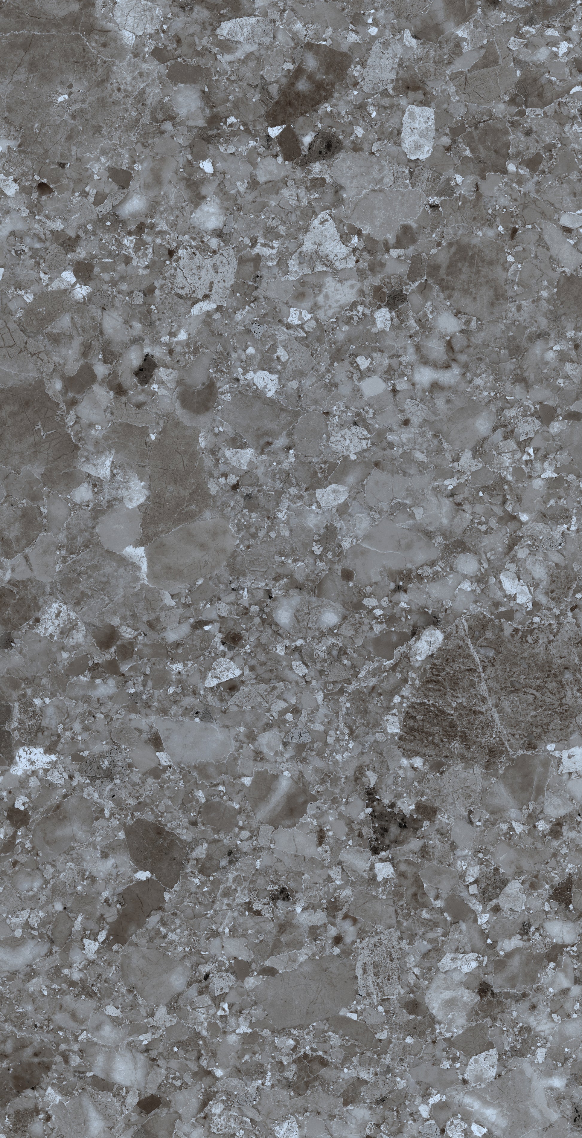 Pietra Fossil Grigio