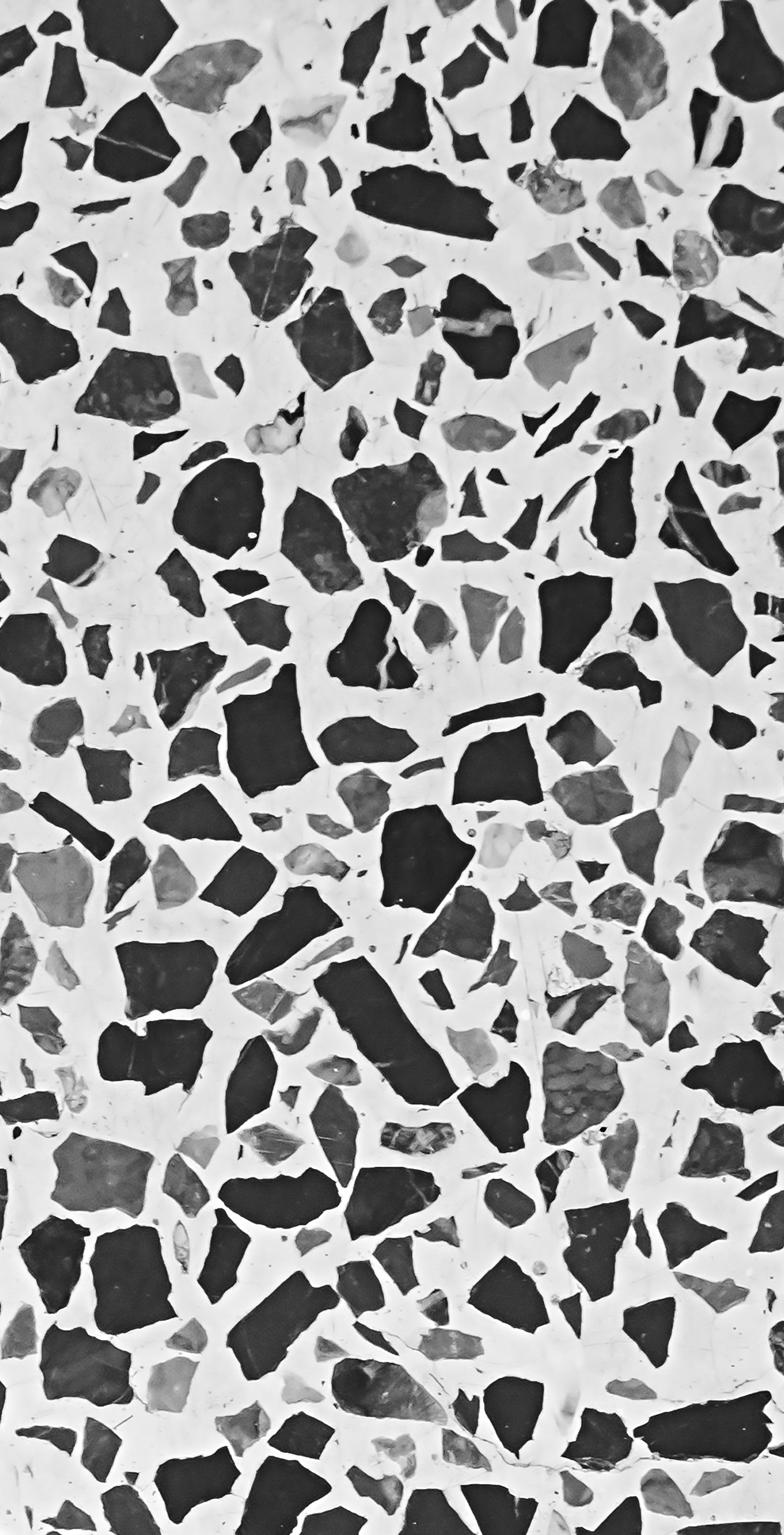 Classic Black & White Terrazzo
